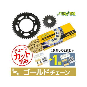 �Z�b�g���i KS55317 �`�F�[�����T���X�^�[ �X�v���P 3�_�Z�b�g�i�S�[���h�j CBR1100XX KS55317