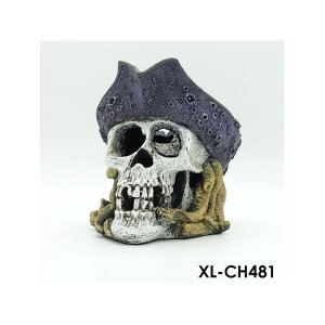 At@ebN XL-CH481 hN [ KCRc ijP[W P[X CeA I[ig ANZT[ IuWF I[ig WI} CAEg  u Ϗ܋ ঒ M