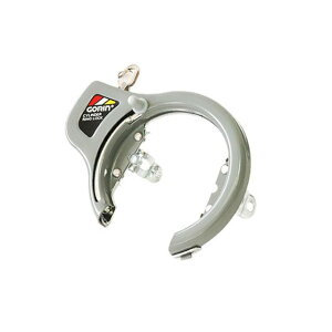 Si]ԁj OiVo[j GR-700 o