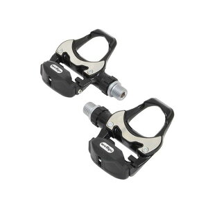 EFSi]ԁj R251DU [hNbvXy_iubNj R251DU