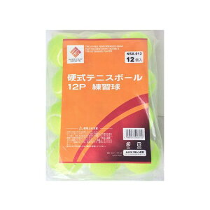 }VYƁi]ԁj NSX-012 dejX{[ 12PiCG[j NSX-012