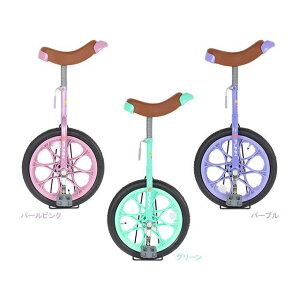 21�e�N�m���W�[�i���]�ԁj IR160 Uni Cycle 16�C���`�i�O���[���j IR160