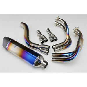 AG ԌΉ AXybN}t[ _E^Cvi`^Of[Vj Ninja1000SX AE-42026 SC