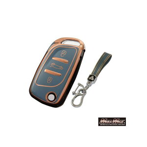 }bh}bNX vW[p S[hC TYPE B 3{^ TPU\tg X}[gL[P[Xiu[j MM50-B11-PE03