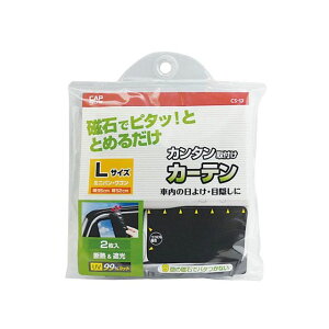 CAPS }OlbgtJ[e Ռ L CS-13