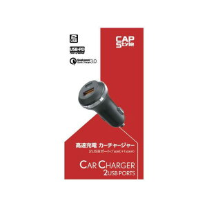 CAPS 2|[gUSB PDiType-Cj+QC3.0iType-Aj SK-01