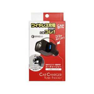 CAPS CX`[Wz_[pUSB{1DC\Pbg SK-11