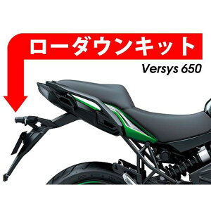 �p�C�c�}�C���[ ���[�_�E���L�b�g 20mm Versys 650 M550-099-20