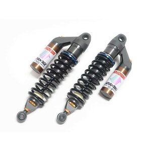 Ahoe[WV[ RS[TXyVioCjVAWX^[j CB 1100 RS 621-H025-RSB