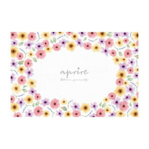 LveX^bO Av[ \tgNbVW[V[g90×60cmiu[j UT-1015