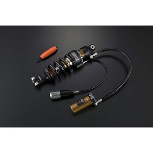 I[o[[VO mVbN PHASE2 TypePA OVER×AragostaiubNj Z900RS Z900RS Caf? E87-71-11B