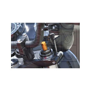 xr[tFCX tgtH[NEgbvLbviubNj Z650RS 005-K0019BK