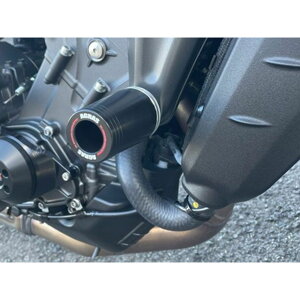 �A�O���X ���[�V���O�X���C�_�[ ��50�t���[���^�C�v ���S�L MT-09 SP �J���[ �z���C�g 342-280-005X