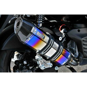 r[X CORSA-EVO II q[g`^TCT[ {F VOiXOt@X G266-65-001