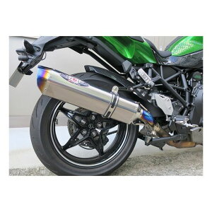 r[gWp NASSERT Evolution Type II XbvIiNA`^j Ninja H2 SX SE 0222-KG8-50