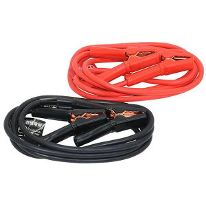 ebN u[X^[P[u 100A 3.5M BT-12