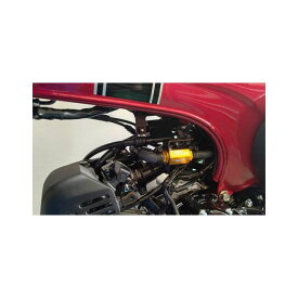 テラモト T-REVmini Dax125 JB04 SPキット（ゴールド） Dax125 4265-mini