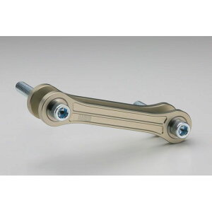 �A�G�� ���[�_�E�������N�v���[�g �p�j�K�[��V4/V4S StreetFighterV4 AE-69008 HA