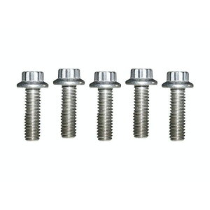 LyndallBrakes ARP ローターボルトキット F 5/18-18×1 マシンフィニッシュ ハーレー用 ・029471