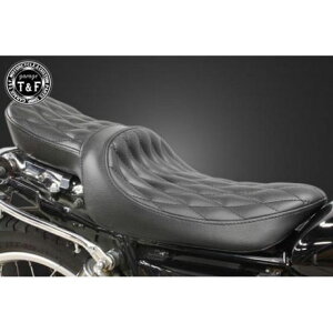 �K���[�WT&F �_�C���V�[�g�iFace-6�j SR400�i�C���W�F�N�V�������f���j SR400�i�L���u���f���j �ESR400ST31