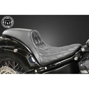 �K���[�WT&F �K���t�@�C�^�[�V�[�g�i�_�C���j �ESTST07