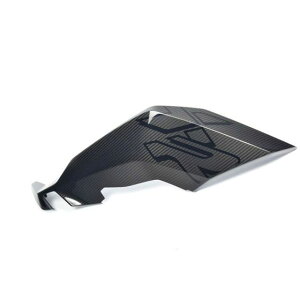 �r�[�G���_�u�����[ BMW ���� Side fairing carbon right S1000 XR bm_77318404070