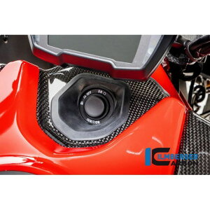 �C�����o�[�K�[ �C�O�j�b�V�����X�C�b�`�J�o�[ �O���X Diavel 19- �b ZSA.018.DI19G.K Diavel 1260 ilm_ZSA_018_DI19G_K