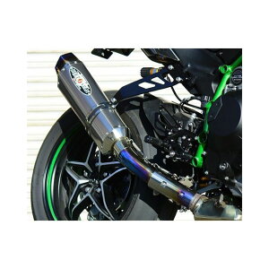 ビートジャパン NASSERT Evolution Type II SLIP ON(TI/MB) Ninja H2 CARBON 0222-KG9-MB