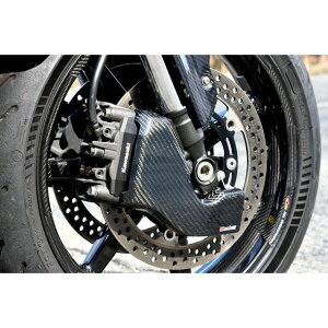 }WJ[VO Lp[N[O_Ng Z900RS f J[{D 001-Z9RS18-980A