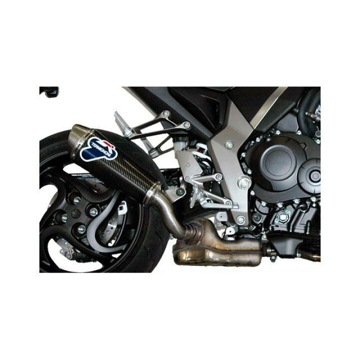 楽天市場】テルミニョーニ 1 サイレンサー STR スリップオン オーバル 