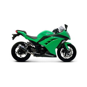 e~j[j XbvI XeX KAWASAKI NINJA 300Ri2012-2017j NINJA 300R ter_K074094CVI