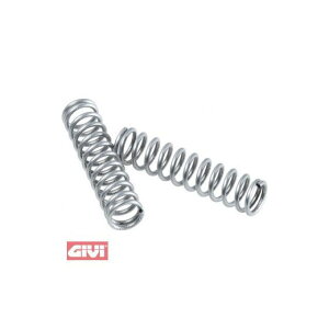 Wr Bolt spring 2 pcs. givi_Z109