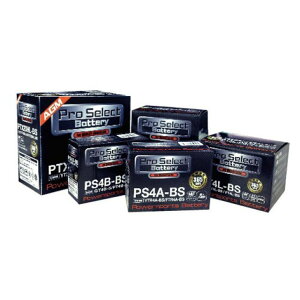 y[J[zvZNgobe[ vZNgobe[ PTX7L-BS V[h PSB006