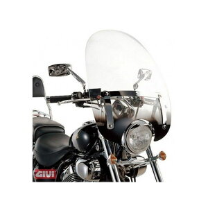 �W�r AIRSTAR CUSTOM-�E�C���h�V�[���h �J���[���X - ABE givi_A35NG