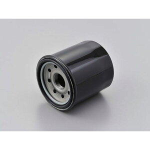 fCgi vCXICtB^[ Ɩp10 F-21 ėp 35206