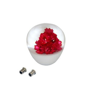 }bh}bNX  Vtgmu V[g TYPE1 50mm ϊA_v^[tibhj MM75-0049-RD