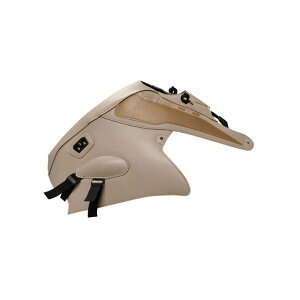 oOX^[ ^NJo[ }XeBbNx[W/S[h R1200GS ADVENTURE 1529M