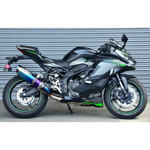 r[gWp NASSERT Evolution Type II tGL][Xg`^}t[iu[`^j Ninja ZX-4R SE/ZX-4RR 0227-KH8-BL