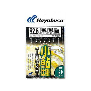 HAYABUSA d| p[ʁt@Co[ 5{b C321 2.5 nX0.6 C321-2.5-0.6
