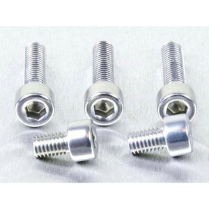 プロボルト Aluminium Fuel Cap Kit Suzuki GSXR750 K4/K5/K6 カラー シルバー TSU149S