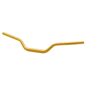 GtFbNX C[W[tBbgo[ TaperiS[hj GSX-S1000GT EBTF550G