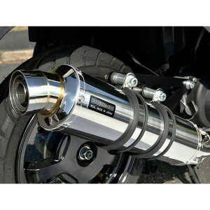 �r�[���X R-EVO �X�e�����X ���{�F�� �o�[�O�}���X�g���[�g125EX G348-53-008