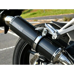 BMS R-EVO J[{ XbvI {F CBR250RR G1019-53-P2J