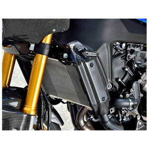 }WJ[VO WG^[VEh XSR900 ގ DJ[{ 001-XSR922-250A