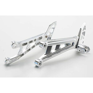 AG A~o^fXebvuPbgF}t[Xe[XizCgj Z900RS/cafe AE-11009 WT