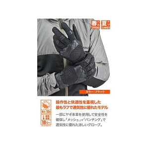 fCgi 2024tăf DG-010 X[obNbVO[uiubNj TCY M 46108