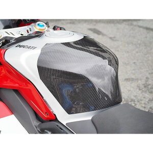 }WJ[VO ^NGh Panigale V4R ގ FRPE D01-V4R24-9521