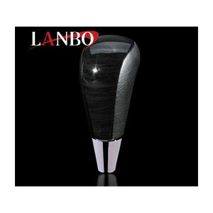 LANBO IWiVtgmu F^Cv 200nCG[Xiؖځj F-SKT21