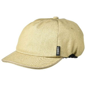 I[W[P[Jugi]ԁj Cp[c CA-1 XqṔix[Wj