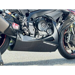 }WJ[VO A_[JEgC GSXR750 ގ FRPE 001-GSR711-1701